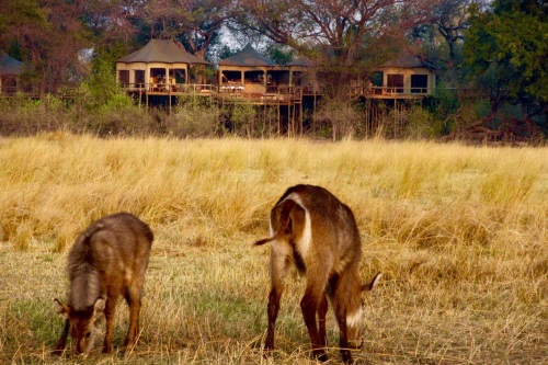 Nambwa Tented Lodge uitkijk